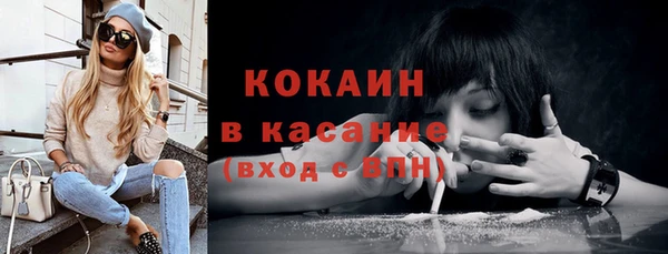 молекула духа Арсеньев