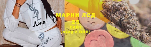 молекула духа Арсеньев