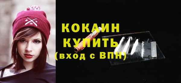 молекула духа Арсеньев