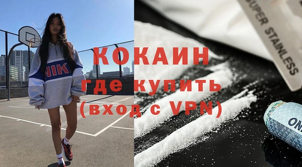 молекула духа Арсеньев