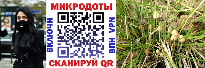 Псилоцибиновые грибы GOLDEN TEACHER Балашиха